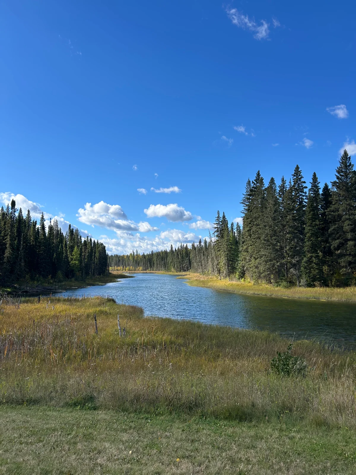 Prince Albert National Park